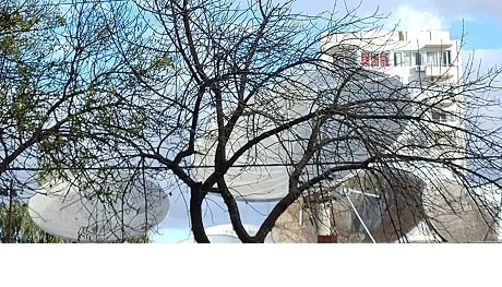 040439d9-c7c8-44aa-8d3c-f86ff279f2ba.jpeg