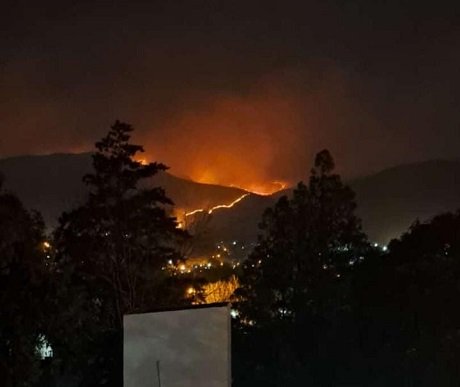 06d4544a-a887-4a9e-823f-42e896007b6d (2).jpg