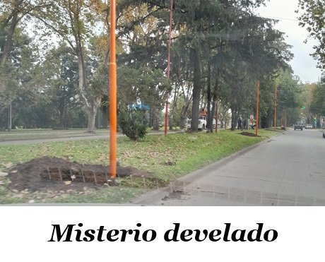 09ce61dc-58a8-4ba5-a4fd-49d13bf23d66.jpg