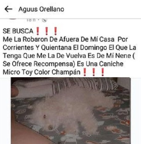 137008525_689631268404220_9203915634586570117_n (1).jpg