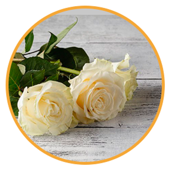 1588617-Bosio-Victor-Hugo-Servicios-Sociales-flores.png