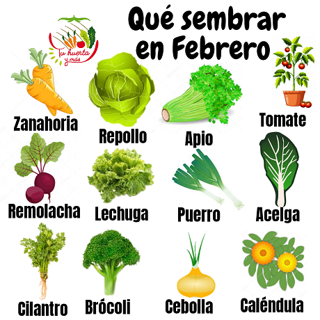 20190202_105822_0001.png