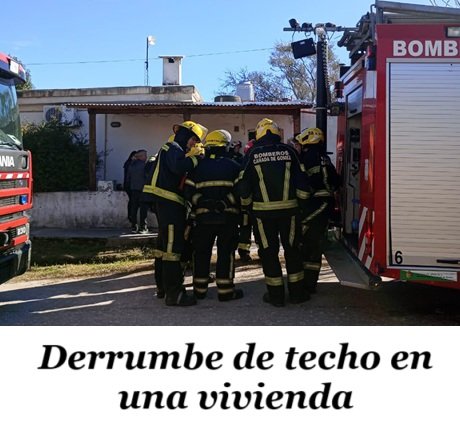 2e33edab-16b4-4d6b-b933-aeffa13990f5.jpg