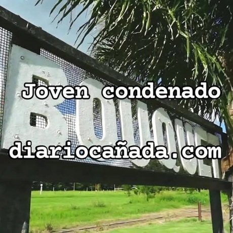 3135.jpg