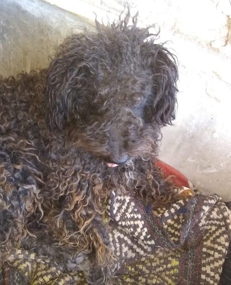 47db8348-6014-4513-8c58-5832ac506c21 (1).jpg