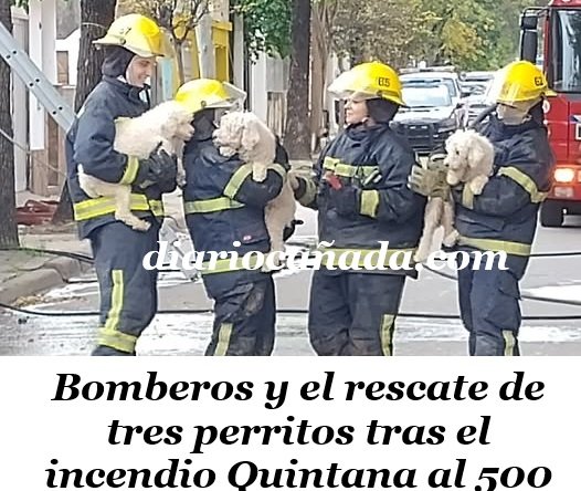 488259914_18472108069070375_8460134766327040004_n (1).jpg