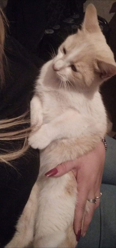 4a5b8e04-f1d5-4e5a-b471-ed9cce14633d (1).jpg