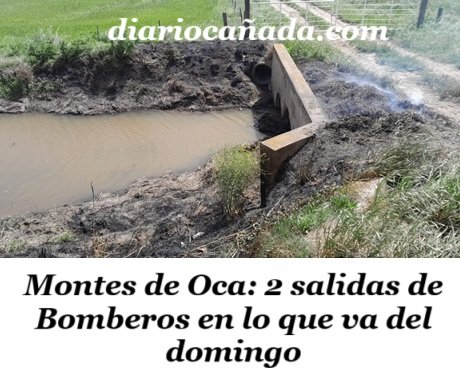 558957639_1220260866796900_1935905993250131860_n (1).jpg