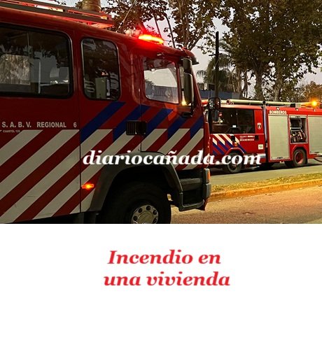 694d87a3-9ffb-45be-8c21-e04c5ac62fbe.jpg