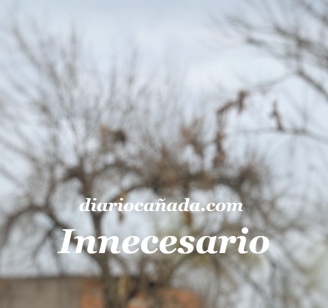 7c887b50-4367-4434-9c54-1cf104a91a45.png