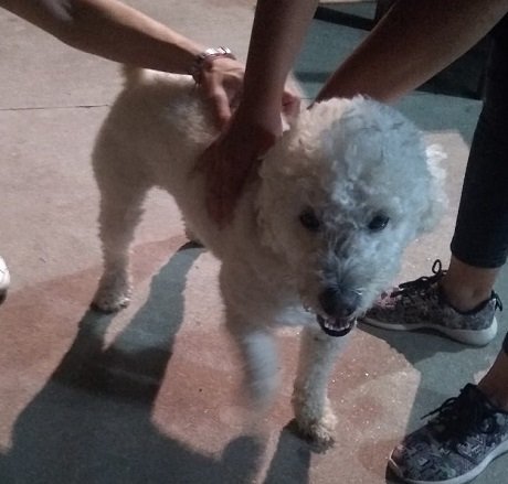 8154c835-e613-4bfe-8ff0-484d32d4715d (1).jpeg