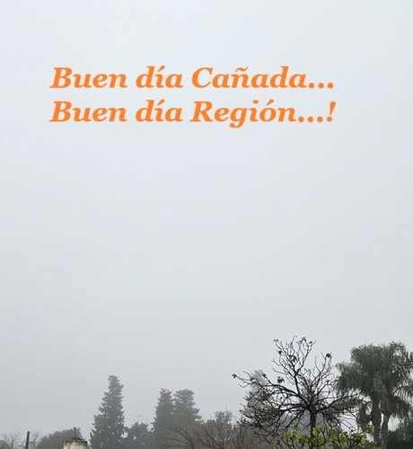 90e93c77-ba9b-4cca-8894-1ca4a3869a5b.jpg