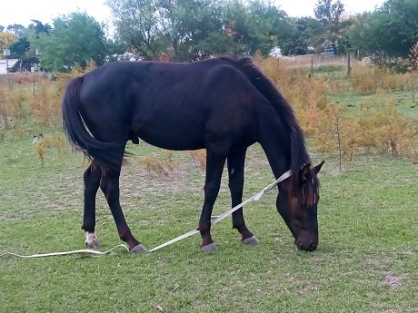 9fcdcd58-66ce-4024-93db-c514e08c5014 (1).jpg