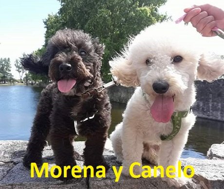 Cancelo y Morena.jpg