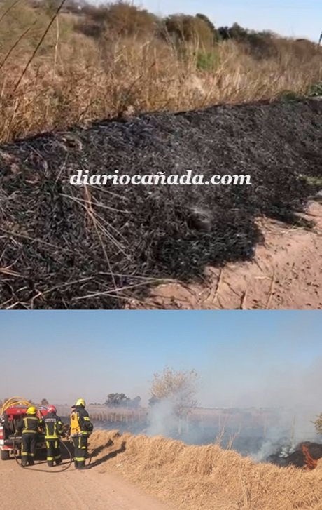 Captura de pantalla 2024-07-18 152957.jpg