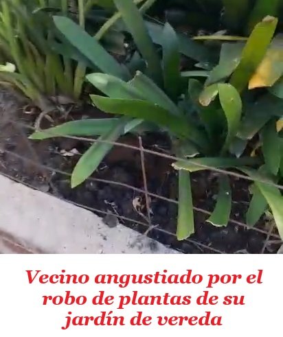 Captura de pantalla 2024-09-25 084521.jpg