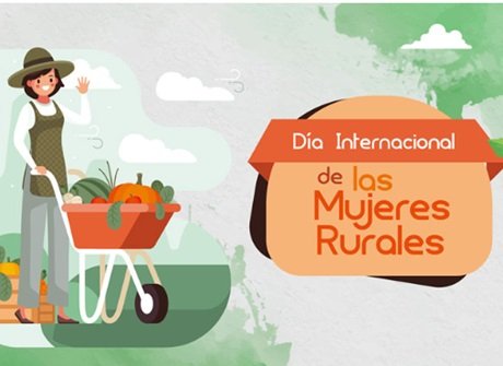 Captura de pantalla 2024-10-15 082214.jpg