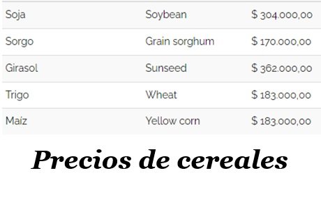 Captura de pantalla 2024-11-19 222353.jpg