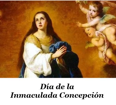 Captura de pantalla 2024-12-08 080754.jpg