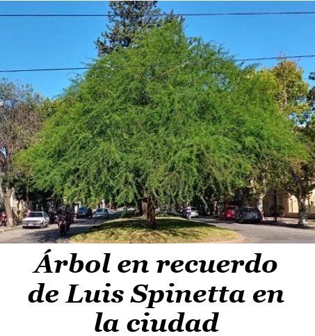 Captura de pantalla 2025-01-23 091018.jpg