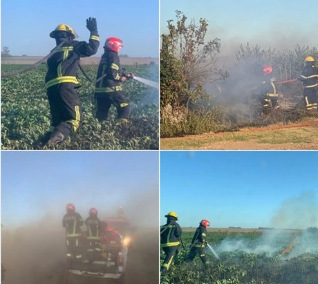 Captura de pantalla 2025-02-03 080016.jpg