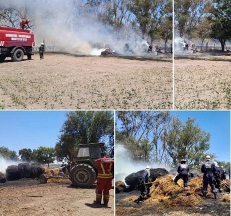 Captura de pantalla 2025-02-12 134419.jpg