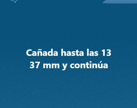 Captura de pantalla 2025-02-25 130656.jpg