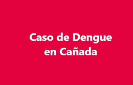 Captura de pantalla 2025-03-20 165006.jpg