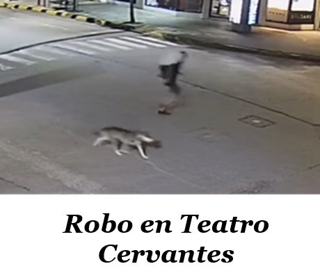 Captura de pantalla 2025-03-27 151031.jpg