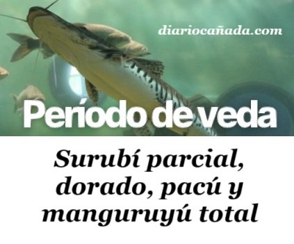 Captura de pantalla 2025-10-31 121500.jpg