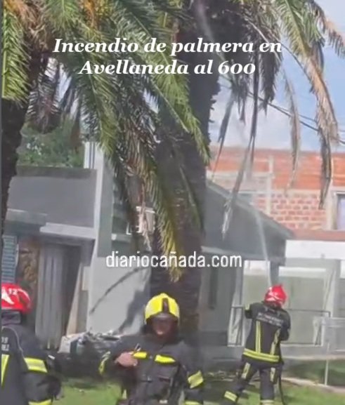 Captura de pantalla 2025-12-27 172832.jpg