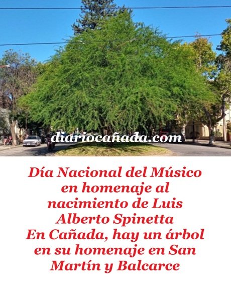 Captura de pantalla 2026-01-23 083051.jpg