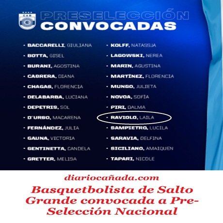 Captura de pantalla 2026-02-01 171314.jpg