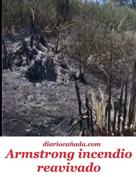 Captura de pantalla 2026-02-02 075505.jpg