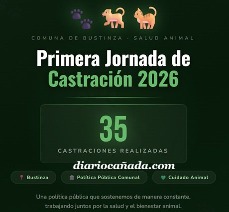 Captura de pantalla 2026-03-10 092537.jpg