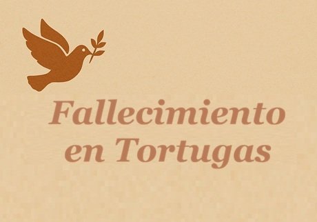 FallecimientoTotugas010126.jpg