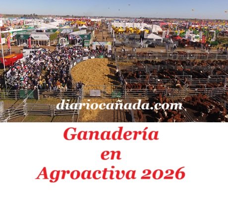 Ganaderia-remates-2048x1536.jpg