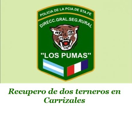 Los pumas.jpg