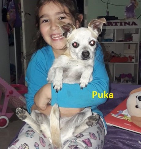 Puka.jpg
