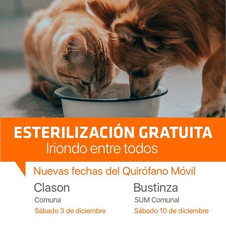 Quirofano Diciembre-04[22733].jpg