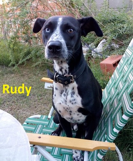 Rudi.jpg
