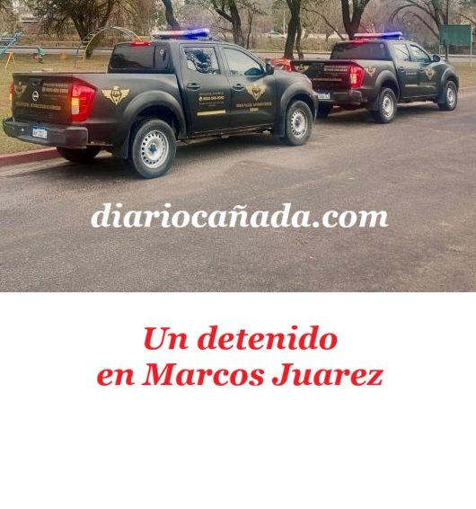 WhatsApp-Image-2026-08-06-at-09.31.50-2-768x578.jpeg
