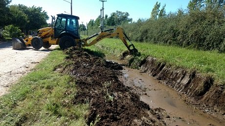 WhatsApp Image 2019-03-07 at 11.28.09[20708].jpg