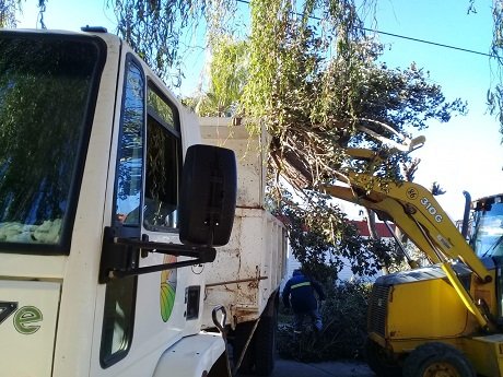 WhatsApp Image 2021-05-13 at 10.04.08[7614].jpg