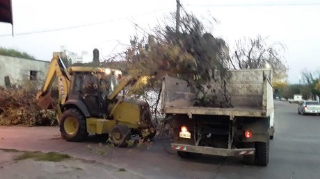 WhatsApp Image 2021-05-17 at 12.35.20[7698].jpg