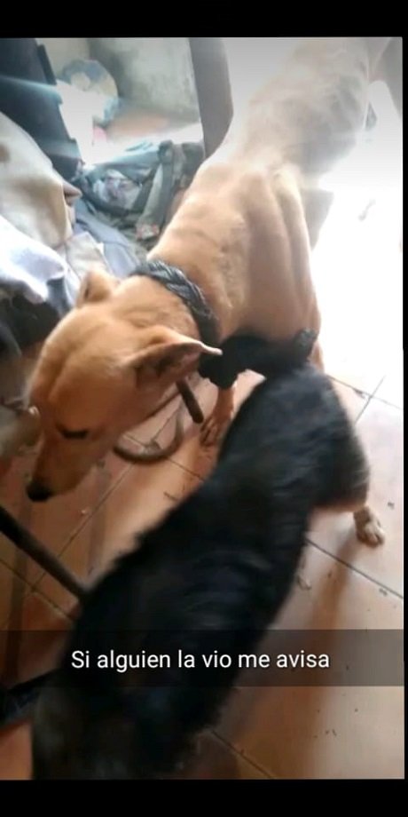 WhatsApp Image 2021-09-21 at 17.43.20.jpg