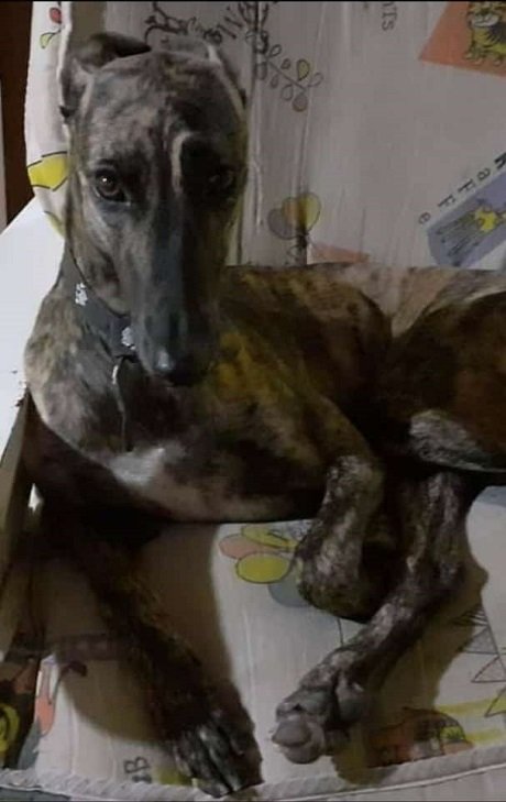 WhatsApp Image 2021-12-20 at 11.24.00.jpg