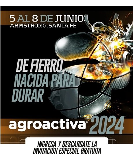 WhatsApp Image 2024-05-02 at 17.28.10.jpeg