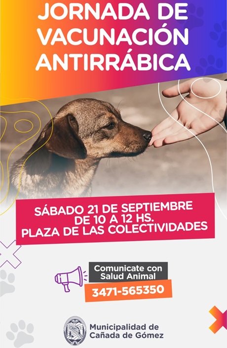 WhatsApp Image 2024-09-18 at 12.33.28.jpeg