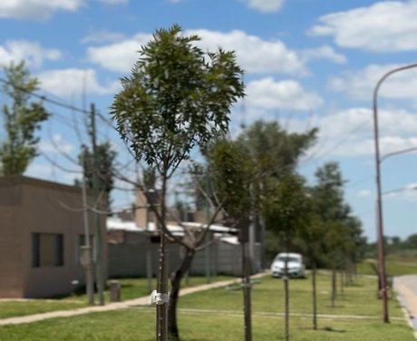 WhatsApp Image 2024-12-30 at 09.00.27.jpeg